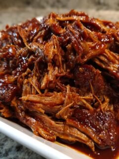 Nahaufnahme von saftigem, gezupftem Chipotle Barbacoa Fleisch in dunkler Sauce auf einem wei&szlig;en Teller.